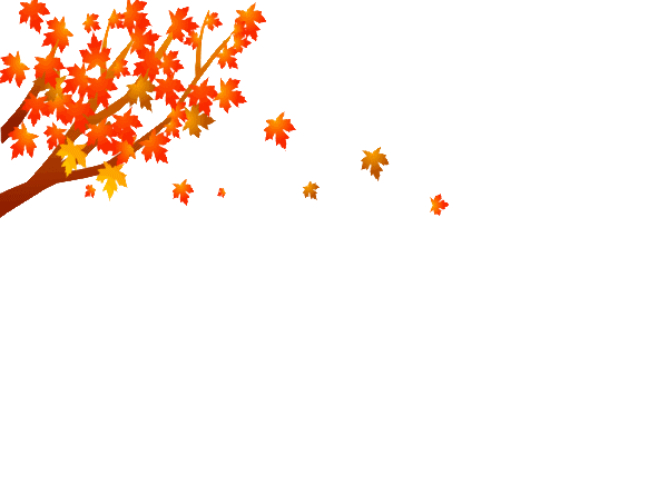 Picture background